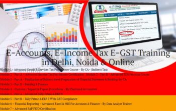 Accounting Course in Delhi, 110099, SLA Accounting