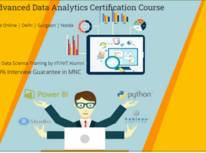 Job Oriented Data Analyst Course in Delhi, 110053.