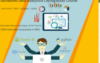 Best Data Analyst Course in Delhi, SLA 110051.